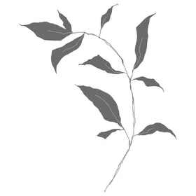 3D花纹手绘花