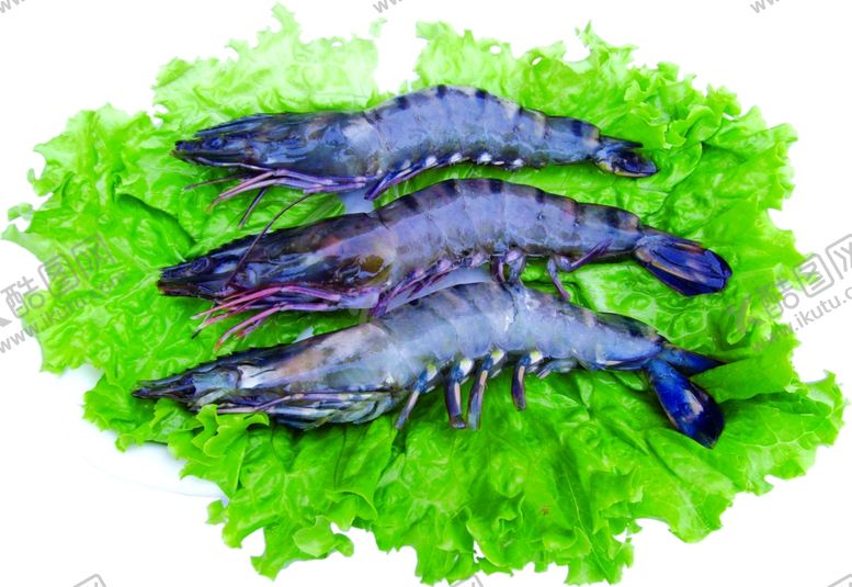 编号：38793310170234086560【酷图网】源文件下载-家常菜美食