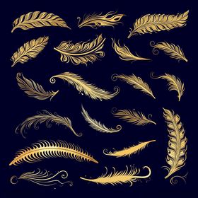 金色羽毛装饰图案集合