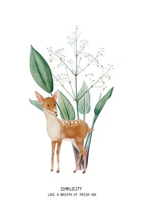 小清新画芯