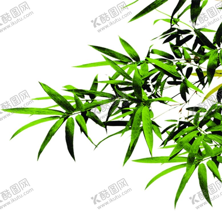 编号：59059706281746355108【酷图网】源文件下载-竹叶