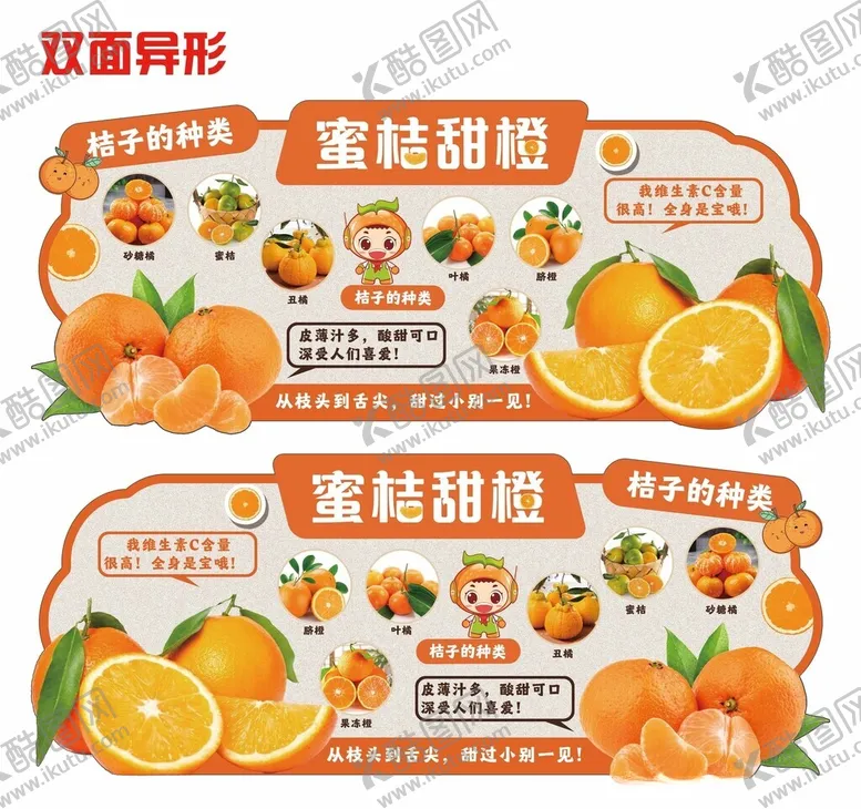 编号：70319602270437108983【酷图网】源文件下载-蜜桔甜橙桔子橙子品种简介吊牌