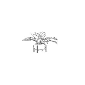 花盆