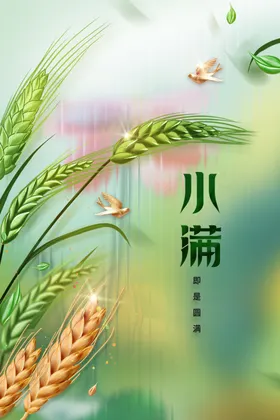 小满海报宣传素材传统