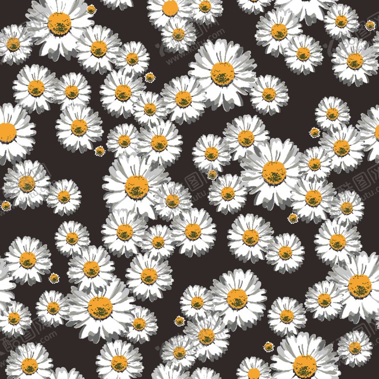 编号：77277009220807008536【酷图网】源文件下载-雏菊