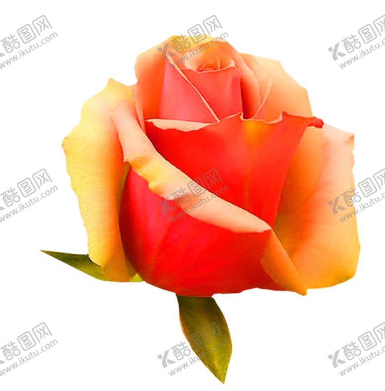 编号：97877910060232272719【酷图网】源文件下载-鲜花装饰