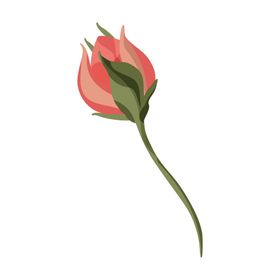 森系花枝