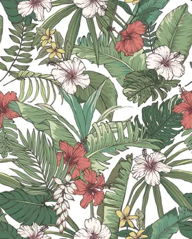 热带花