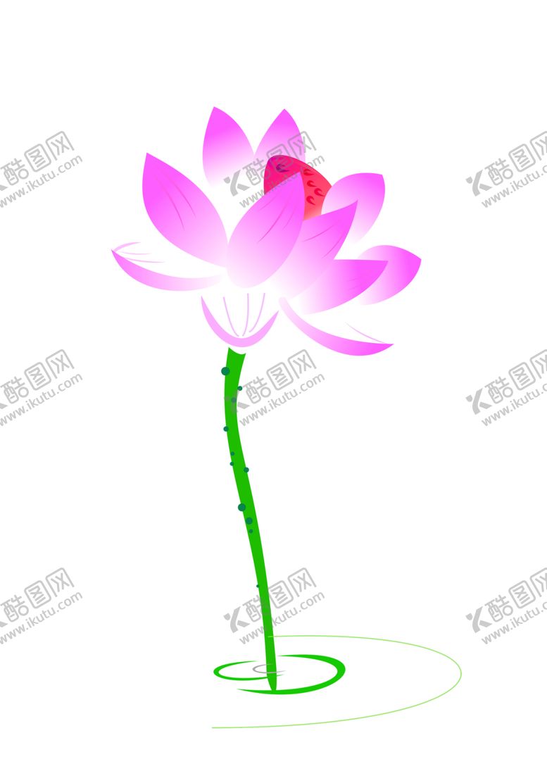 编号：37930809122224013188【酷图网】源文件下载-鲜花素材