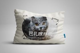 枕头样机
