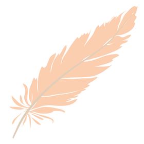 羽毛 素材