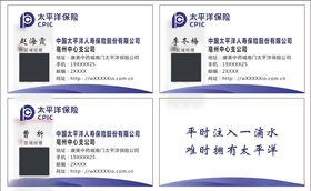 太平洋保险名片高科技企业大气设计公司