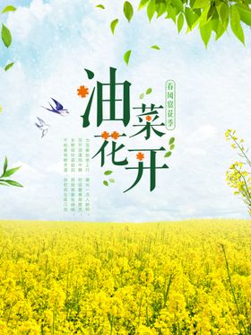 编号：75203110011323389471【酷图网】源文件下载-油菜花背景