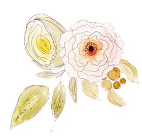 花卉素材