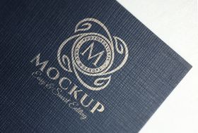 logo样机LOGO智能贴图VImckup