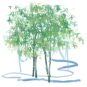 竹子素材