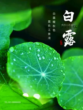 白露地产寒微信霜降图片