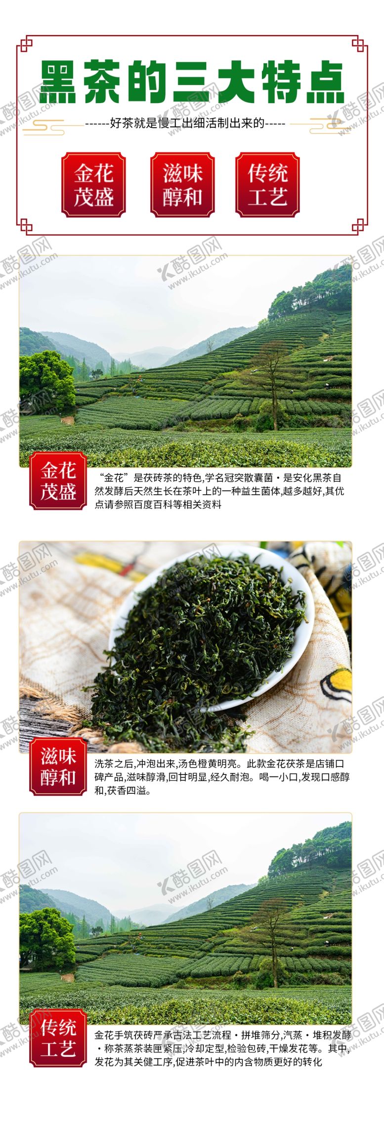 编号：80293802100323194588【酷图网】源文件下载-茶叶