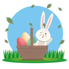 可爱兔子