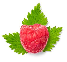 树莓