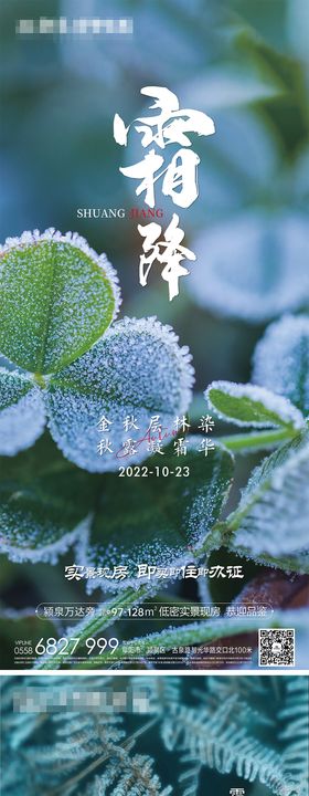 霜降节气系列海报