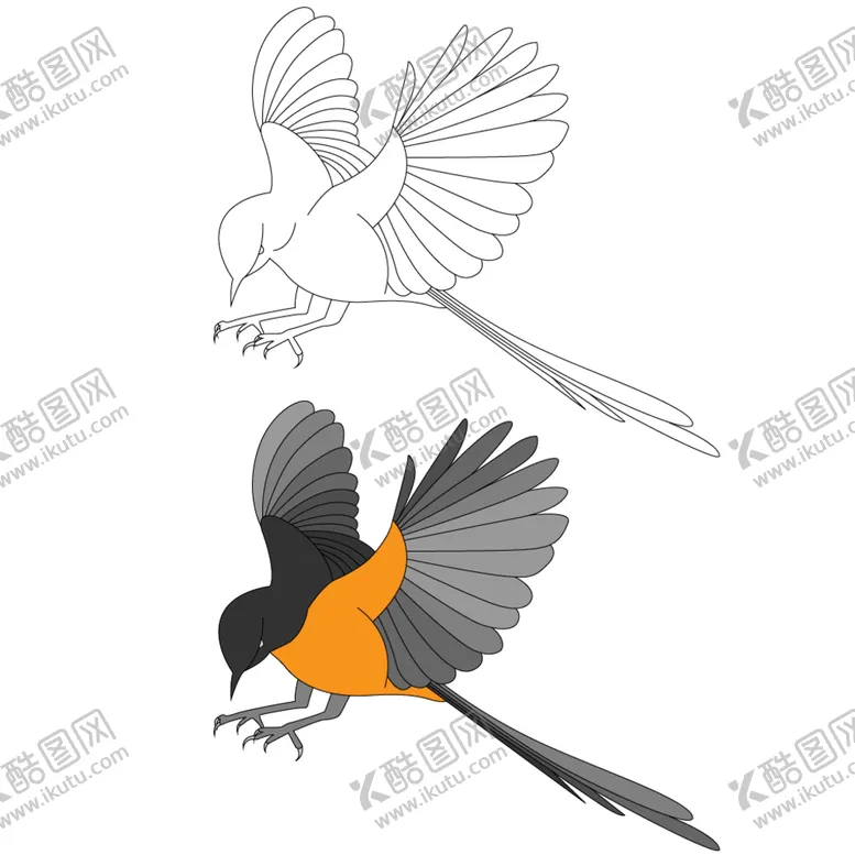 编号：23916809161259517296【酷图网】源文件下载-线稿鸟图案