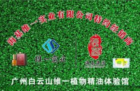 白云山维一植物精油海报