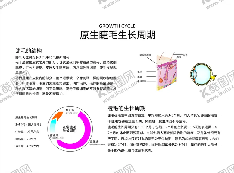 编号：95755210261640311102【酷图网】源文件下载-美睫生长图