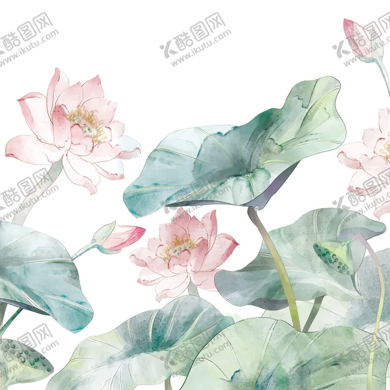 编号：27920312080418234977【酷图网】源文件下载-免扣荷花素材