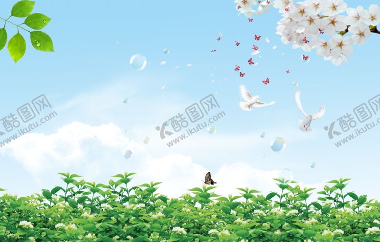 编号：33863206241554555198【酷图网】源文件下载-茉莉