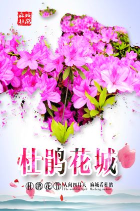 杜鹃花海报