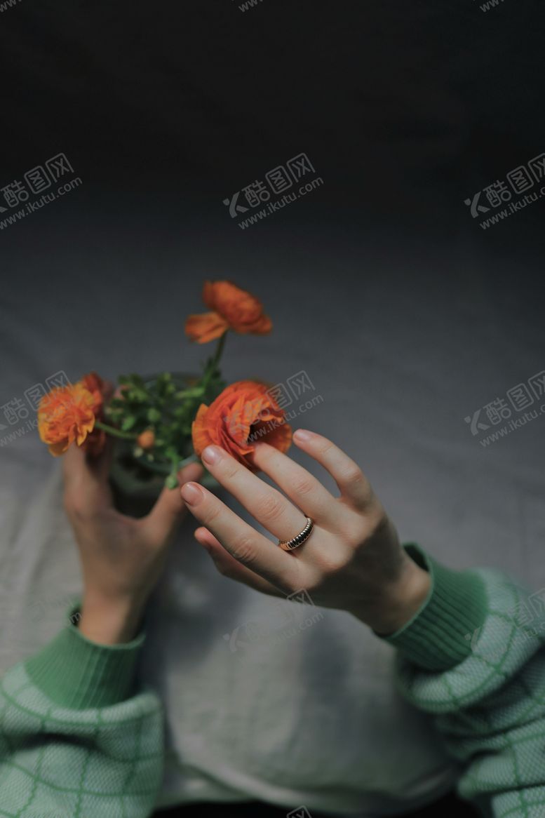 编号：57157512282103495755【酷图网】源文件下载-玫瑰