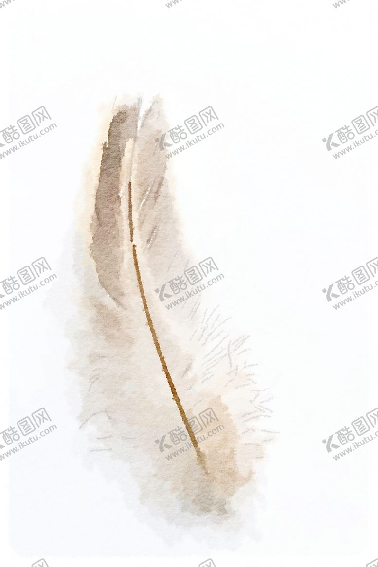 编号：10270810200829579486【酷图网】源文件下载-水彩插画鸟图案