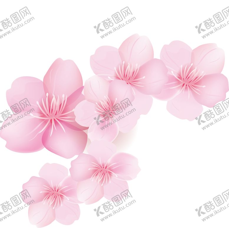 编号：25977605160100391581【酷图网】源文件下载-手绘植物花卉