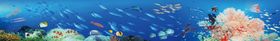 海底世界
