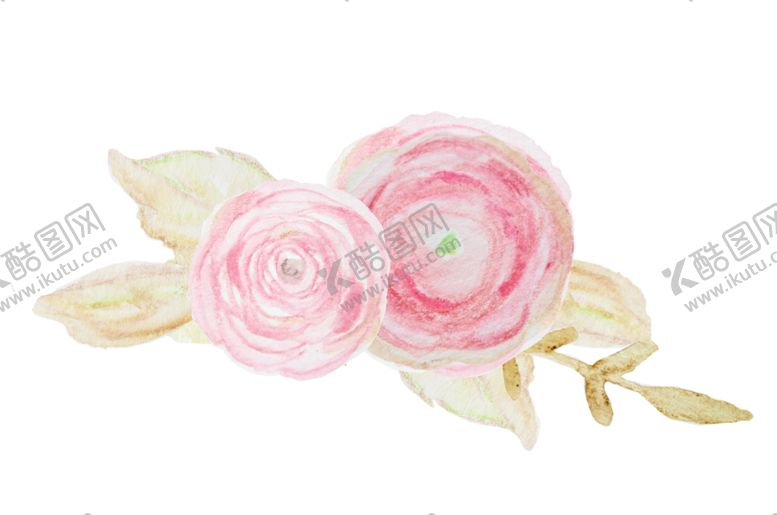 编号：29116910130723261803【酷图网】源文件下载-玫瑰花装饰素材
