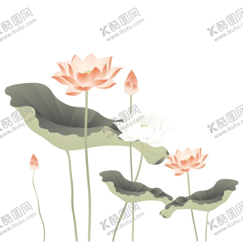 编号：30629801140111452890【酷图网】源文件下载-荷花素材