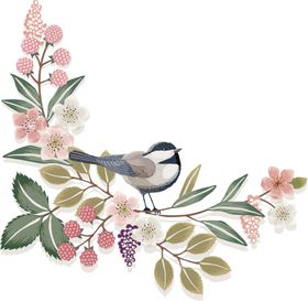 鲜花素材郁金香康乃馨勿忘我