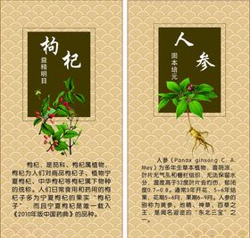 中药文化
