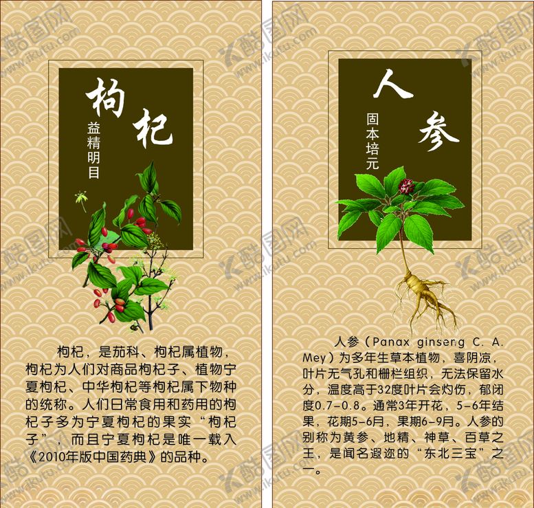 编号：54658607051711304466【酷图网】源文件下载-中药文化