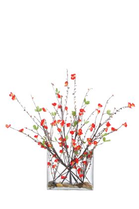免抠背景花草树木