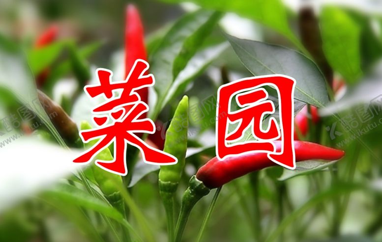 编号：88493410140054109015【酷图网】源文件下载-菜园