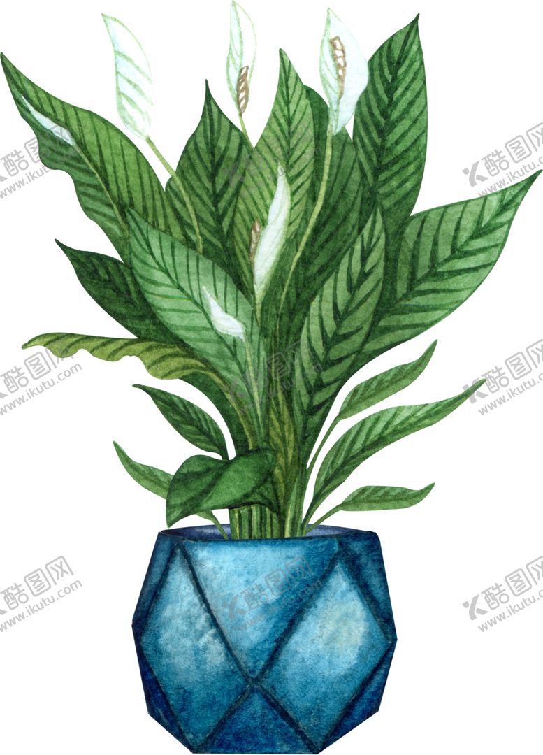 编号：73989709281046226396【酷图网】源文件下载-绿植水彩插画