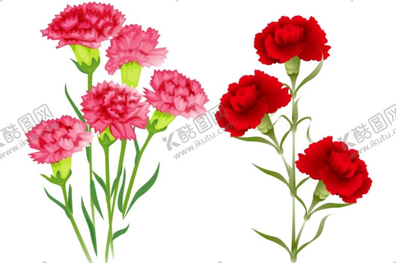 编号：66970010122020567186【酷图网】源文件下载-花朵康乃馨母亲节花儿