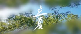 清明节气banner