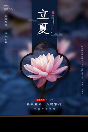 泼水节传统国风插画复古节气海报