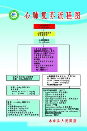 编号：31247909230529560596【酷图网】源文件下载-新生儿窒息复苏流程图