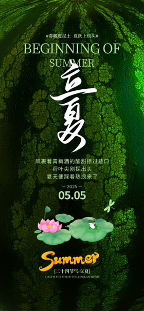 立夏节气插画海报