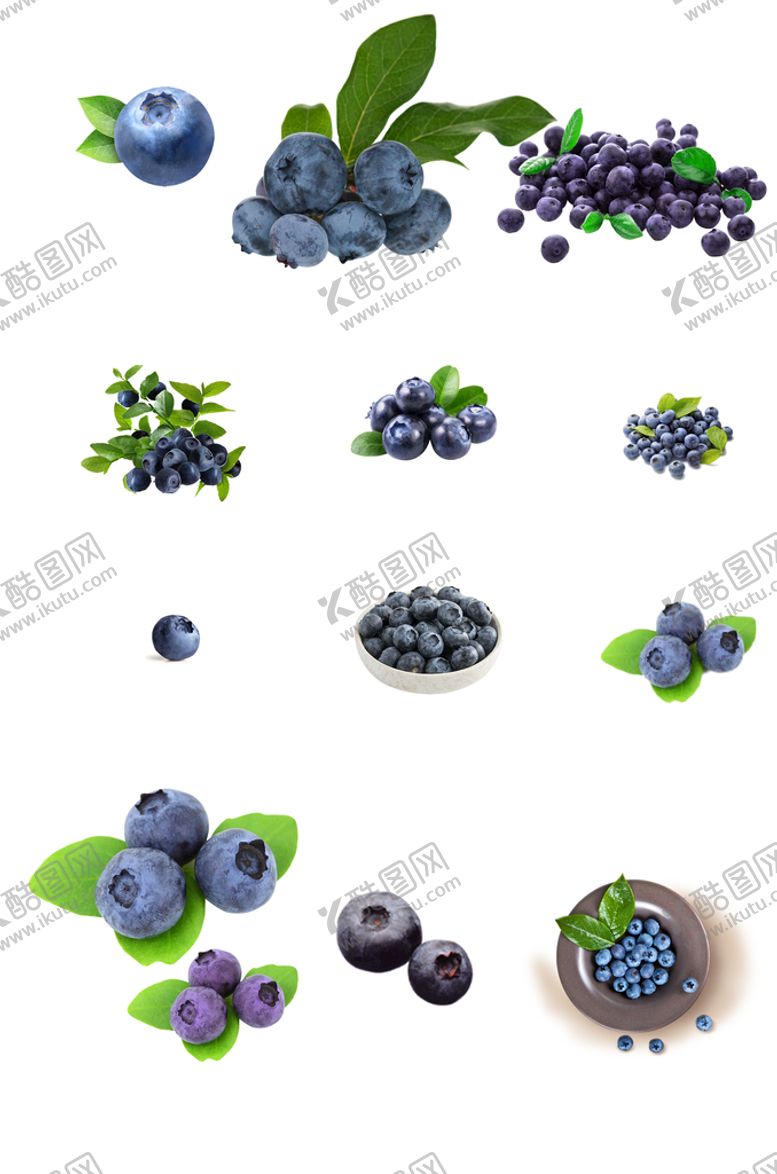 编号：47256909240743321057【酷图网】源文件下载-新鲜蓝莓素材