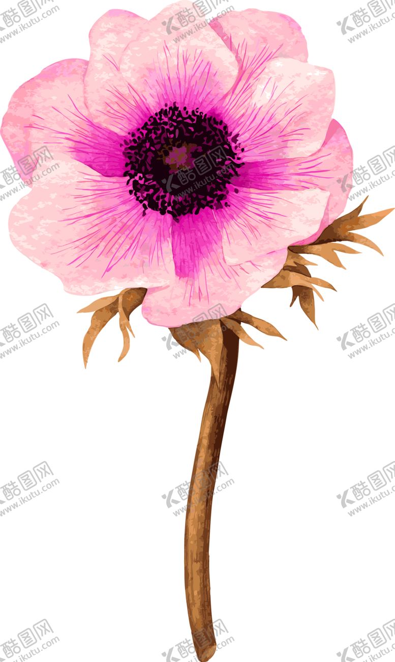 编号：26987709161547145293【酷图网】源文件下载-鲜花素材